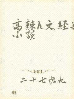 高辣h文经典乱小说