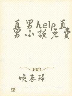 直男help直男小说免费阅读全文笔趣阁完整版