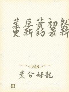 叶辰萧初然今天更新的最新章节