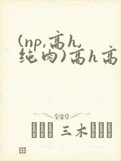 (np,高h,纯肉)高h高辣