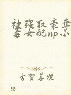 被强取豪夺的恶毒女配np小说在线阅读