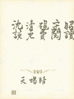 沈清砚宋昭汐小说免费阅读最新章节