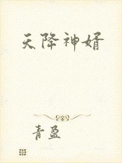 天降神婿封面