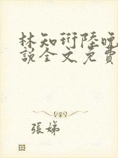 林知珩陆晚萤小说全文免费阅读封面