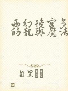 西幻后宫多女主的龙与魔法小说