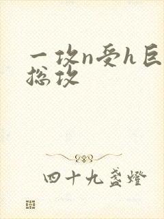 一攻n受h巨肉总攻