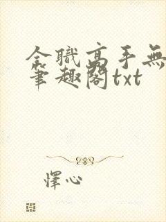 全职高手无弹窗笔趣阁txt