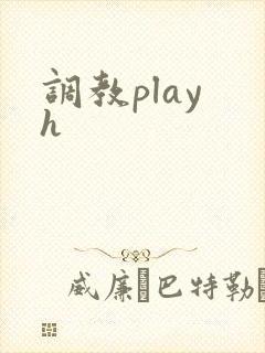 调教play h