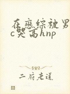 在恋综被男主们c哭高hnp