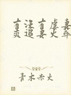 有没有虐妻一时爽追妻火葬场的小说