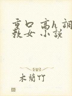 重口 高h 调教女 小说