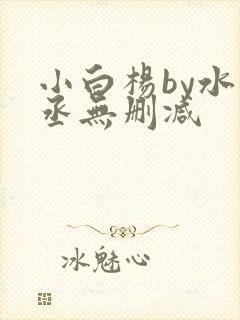 小白杨by水千丞无删减