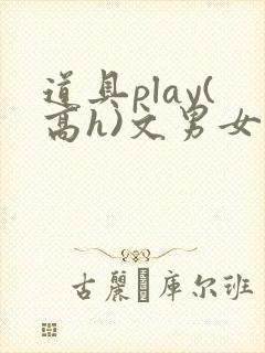 道具play(高h)文男女小说封面