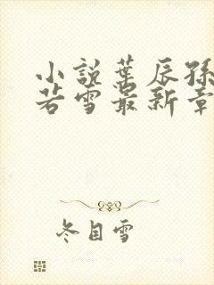 小说叶辰孙怡夏若雪最新章节阅读