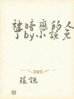 被暗恋的人俘虏了by小说免费阅读