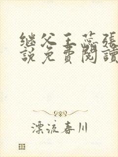 继父王蕊张长小说免费阅读全文