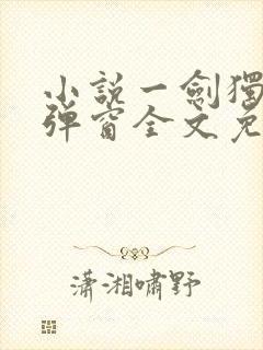 小说一剑独尊无弹窗全文免费阅读