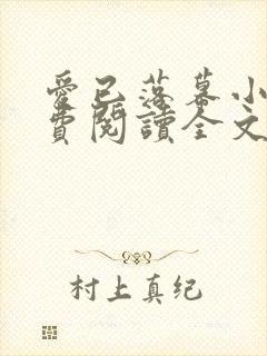 爱已落幕小说免费阅读全文