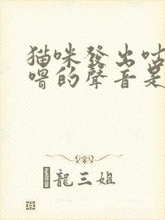 猫咪发出咕噜咕噜的声音是怎么了封面