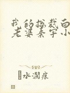 我的总裁白富美老婆秦宇小说未删版