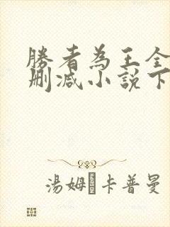 胜者为王全文无删减小说下载封面