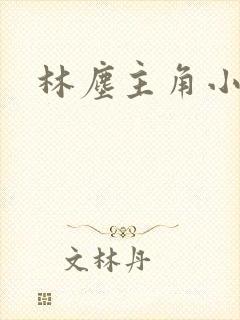 林尘主角小说