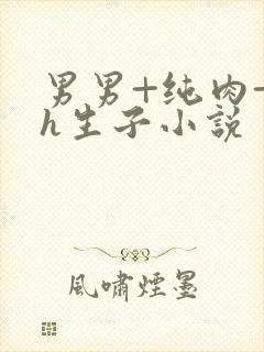 男男+纯肉+高h生子小说