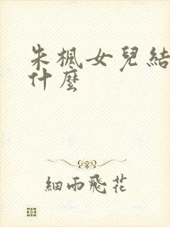 朱枫女儿结局是什么封面