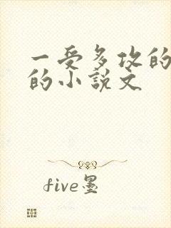 一受多攻的肉肉的小说文