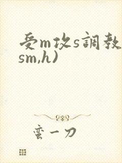 受m攻s调教(sm,h)