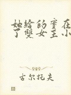 她给的实在太多了双女主小说封面