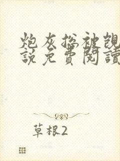 炮灰总被觊觎小说免费阅读