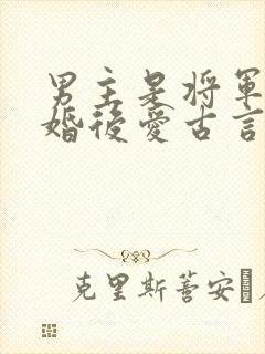 男主是将军的先婚后爱古言封面