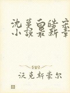 沈蔓白皓宋微微小说最新章节更新内容