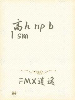 高h np bl sm封面