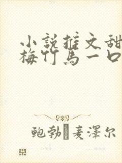 小说推文甜文青梅竹马一口气看完封面