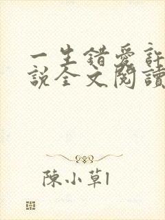 一生错爱许晴小说全文阅读无弹窗封面