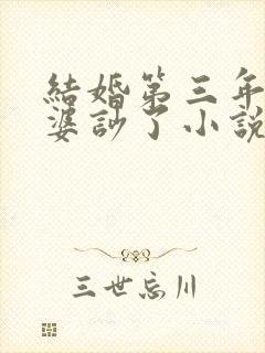 结婚第三年被老婆吵了小说