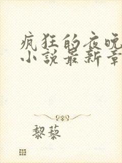 疯狂的夜晚苏柔小说最新章节