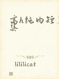 高h纯肉短篇合集封面
