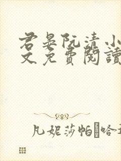 君晏阮清小说全文免费阅读