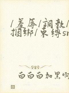 /羞辱/调教/捆绑/束缚sm