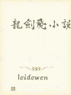 龙剑飞小说封面