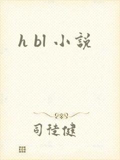 h bl 小说