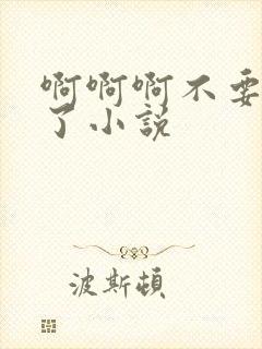 啊啊啊不要高潮了小说封面