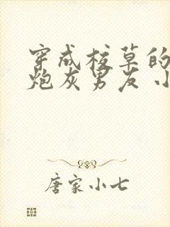 穿成校草的纯1炮灰男友 小说