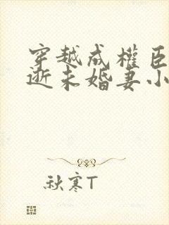 穿越成权臣的早逝未婚妻小说封面