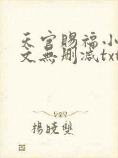 天官赐福小说全文无删减txt下载