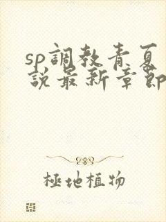 sp调教青夏小说最新章节更新时间