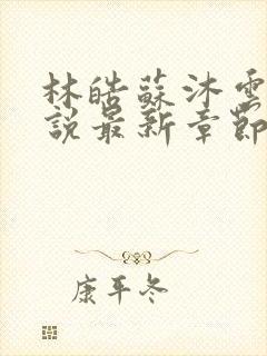 林皓苏沐云的小说最新章节更新情况